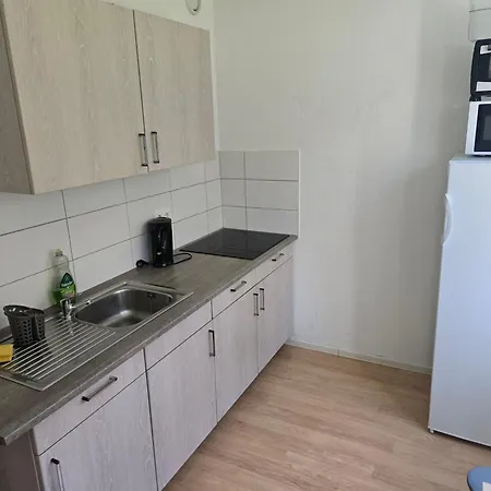 Mylau S19 U Райхенбах-им-Фогтланд