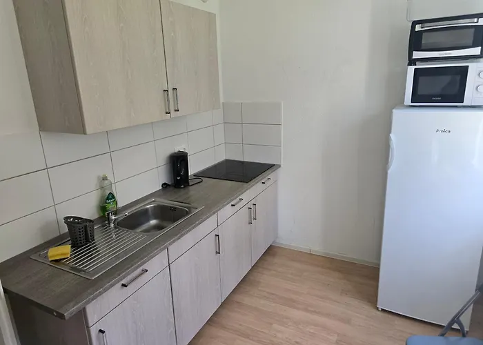 Mylau S19 U Reichenbach im Vogtland