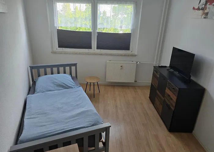 Mylau S19 U Reichenbach im Vogtland