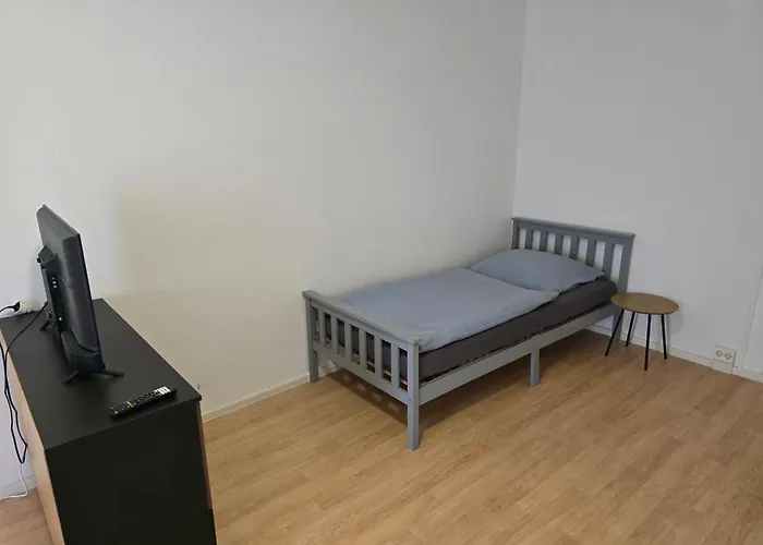 Mylau S19 U Reichenbach im Vogtland